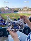 Clear Blue LA bag